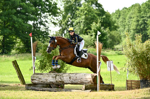 Goldene Schärpe Ponys in Löningen 2026 | 06062026 Gelände 1 Abt_1112 