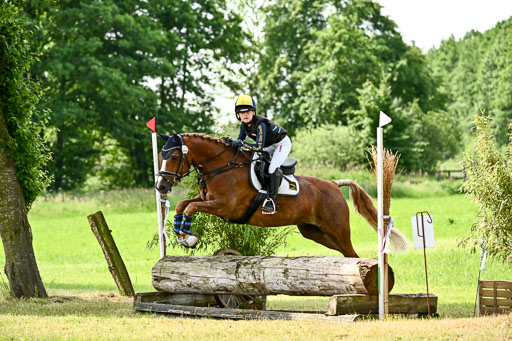Goldene Schärpe Ponys in Löningen 2026 | 06062026 Gelände 1 Abt_1113 