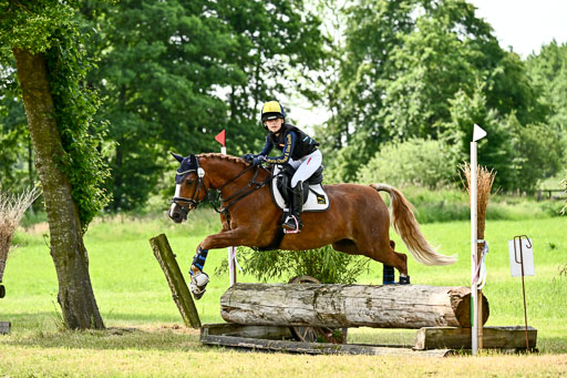 Goldene Schärpe Ponys in Löningen 2026 | 06062026 Gelände 1 Abt_1114 