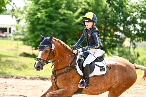 Goldene Schärpe Ponys in Löningen 2026 | 06062026 Gelände 1 Abt_1116 