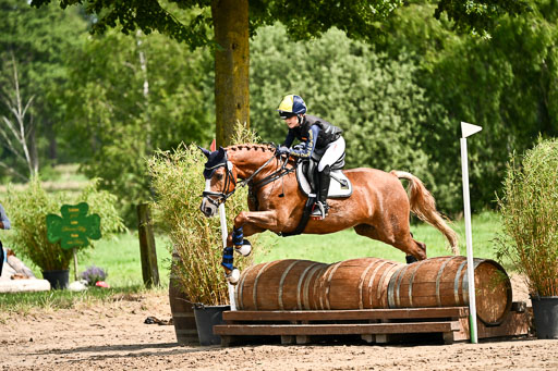 Goldene Schärpe Ponys in Löningen 2026 | 06062026 Gelände 1 Abt_1122 