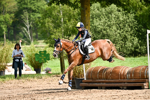Goldene Schärpe Ponys in Löningen 2026 | 06062026 Gelände 1 Abt_1123 