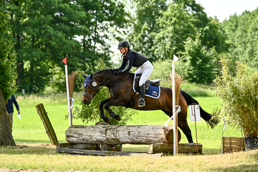 Goldene Schärpe Ponys in Löningen 2026 | 06062026 Gelände 1 Abt_1133 