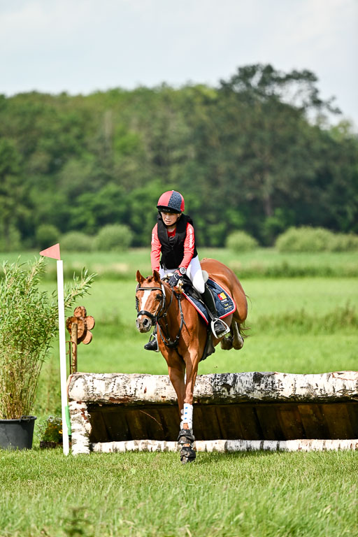 Goldene Schärpe Ponys in Löningen 2026 | 06062026 Gelände 1 Abt_1142 