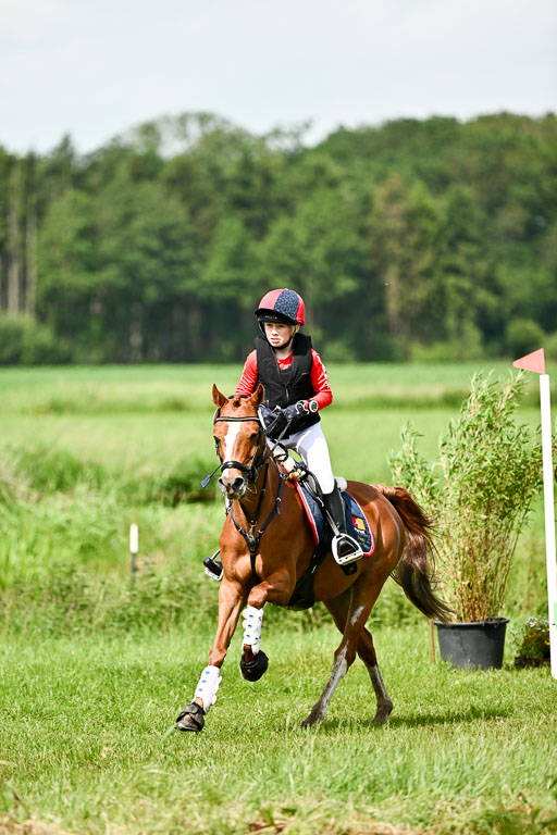 Goldene Schärpe Ponys in Löningen 2026 | 06062026 Gelände 1 Abt_1143 