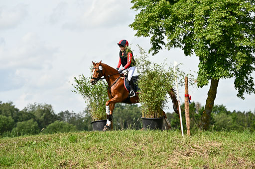 Goldene Schärpe Ponys in Löningen 2026 | 06062026 Gelände 1 Abt_1144 