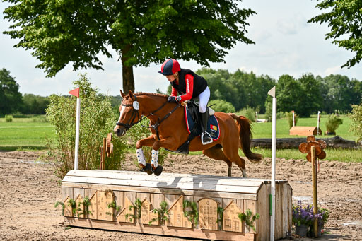 Goldene Schärpe Ponys in Löningen 2026 | 06062026 Gelände 1 Abt_1146 