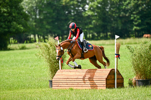 Goldene Schärpe Ponys in Löningen 2026 | 06062026 Gelände 1 Abt_1149 