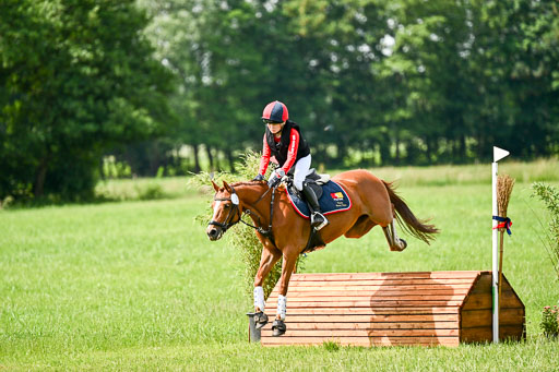 Goldene Schärpe Ponys in Löningen 2026 | 06062026 Gelände 1 Abt_1150 