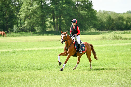 Goldene Schärpe Ponys in Löningen 2026 | 06062026 Gelände 1 Abt_1152 