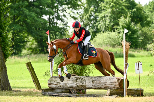 Goldene Schärpe Ponys in Löningen 2026 | 06062026 Gelände 1 Abt_1154 