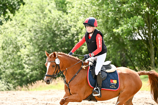 Goldene Schärpe Ponys in Löningen 2026 | 06062026 Gelände 1 Abt_1155 