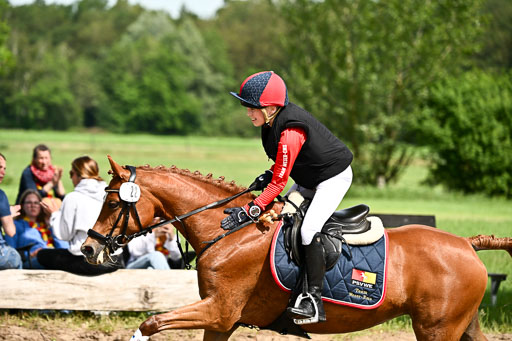 Goldene Schärpe Ponys in Löningen 2026 | 06062026 Gelände 1 Abt_1163 