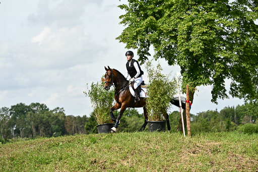 Goldene Schärpe Ponys in Löningen 2026 | 06062026 Gelände 1 Abt_1170 