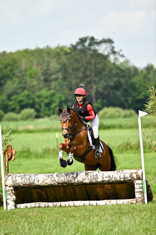 Goldene Schärpe Ponys in Löningen 2026 | 06062026 Gelände 1 Abt_1175 