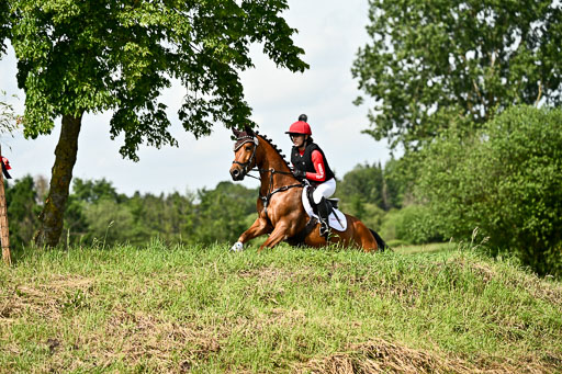Goldene Schärpe Ponys in Löningen 2026 | 06062026 Gelände 1 Abt_1179 