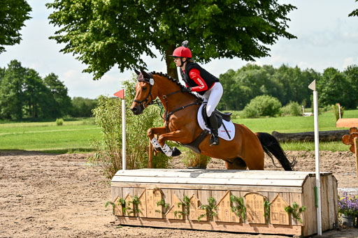 Goldene Schärpe Ponys in Löningen 2026 | 06062026 Gelände 1 Abt_1181 