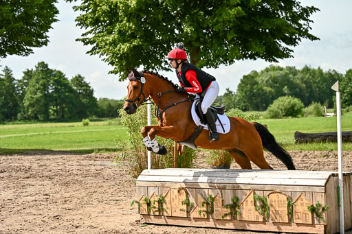 Goldene Schärpe Ponys in Löningen 2026 | 06062026 Gelände 1 Abt_1182 