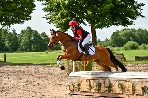 Goldene Schärpe Ponys in Löningen 2026 | 06062026 Gelände 1 Abt_1183 