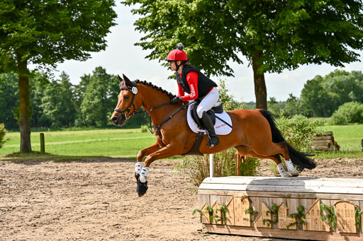 Goldene Schärpe Ponys in Löningen 2026 | 06062026 Gelände 1 Abt_1184 
