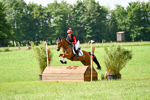Goldene Schärpe Ponys in Löningen 2026 | 06062026 Gelände 1 Abt_1186 