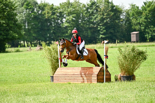 Goldene Schärpe Ponys in Löningen 2026 | 06062026 Gelände 1 Abt_1187 