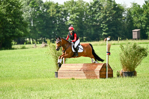 Goldene Schärpe Ponys in Löningen 2026 | 06062026 Gelände 1 Abt_1188 