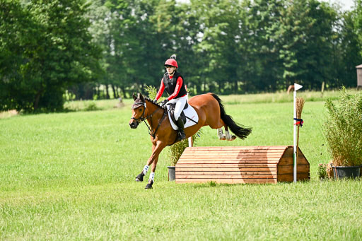 Goldene Schärpe Ponys in Löningen 2026 | 06062026 Gelände 1 Abt_1190 