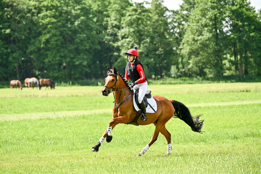 Goldene Schärpe Ponys in Löningen 2026 | 06062026 Gelände 1 Abt_1191 