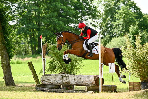 Goldene Schärpe Ponys in Löningen 2026 | 06062026 Gelände 1 Abt_1192 