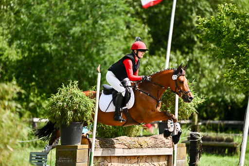 Goldene Schärpe Ponys in Löningen 2026 | 06062026 Gelände 1 Abt_1195 