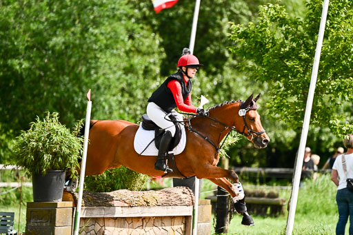 Goldene Schärpe Ponys in Löningen 2026 | 06062026 Gelände 1 Abt_1196 