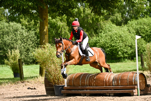 Goldene Schärpe Ponys in Löningen 2026 | 06062026 Gelände 1 Abt_1199 