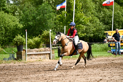 Goldene Schärpe Ponys in Löningen 2026 | 06062026 Gelände 1 Abt_1303 