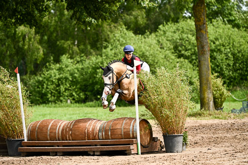 Goldene Schärpe Ponys in Löningen 2026 | 06062026 Gelände 1 Abt_1304 