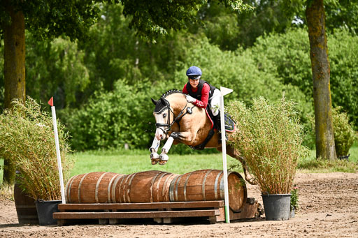 Goldene Schärpe Ponys in Löningen 2026 | 06062026 Gelände 1 Abt_1305 