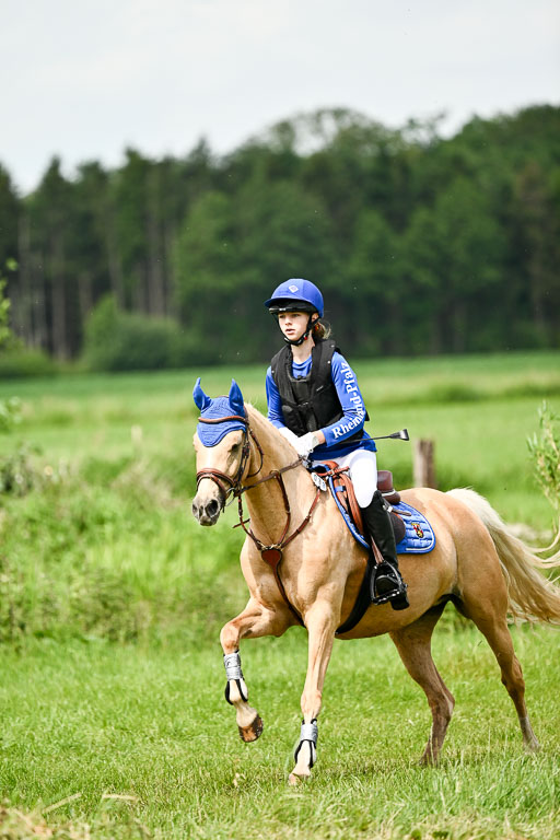 Goldene Schärpe Ponys in Löningen 2026 | 06062026 Gelände 1 Abt_1315 