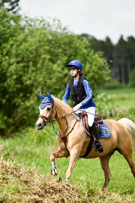 Goldene Schärpe Ponys in Löningen 2026 | 06062026 Gelände 1 Abt_1316 