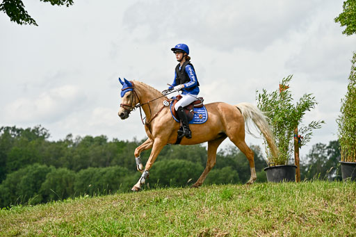 Goldene Schärpe Ponys in Löningen 2026 | 06062026 Gelände 1 Abt_1317 