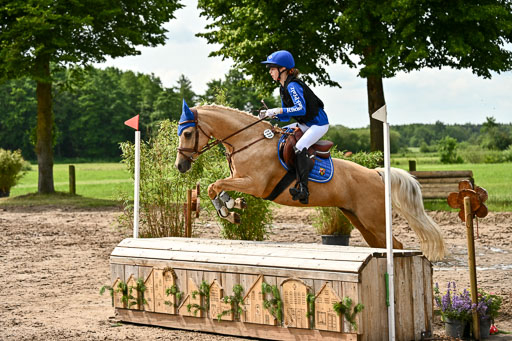 Goldene Schärpe Ponys in Löningen 2026 | 06062026 Gelände 1 Abt_1318 