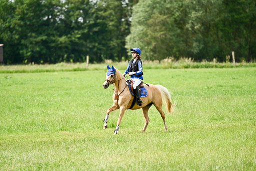 Goldene Schärpe Ponys in Löningen 2026 | 06062026 Gelände 1 Abt_1320 