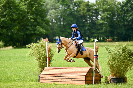 Goldene Schärpe Ponys in Löningen 2026 | 06062026 Gelände 1 Abt_1321 