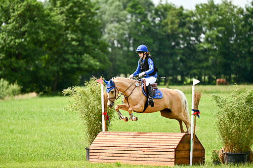 Goldene Schärpe Ponys in Löningen 2026 | 06062026 Gelände 1 Abt_1322 