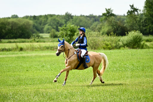 Goldene Schärpe Ponys in Löningen 2026 | 06062026 Gelände 1 Abt_1325 