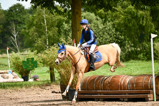 Goldene Schärpe Ponys in Löningen 2026 | 06062026 Gelände 1 Abt_1336 