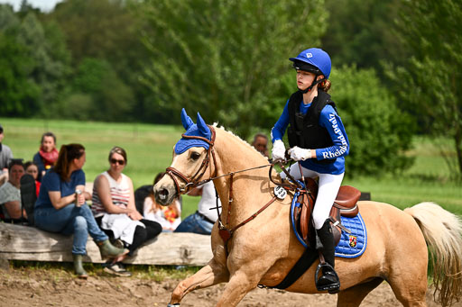 Goldene Schärpe Ponys in Löningen 2026 | 06062026 Gelände 1 Abt_1337 