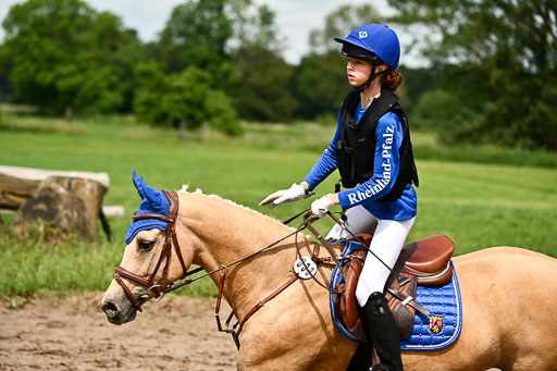 Goldene Schärpe Ponys in Löningen 2026 | 06062026 Gelände 1 Abt_1338 