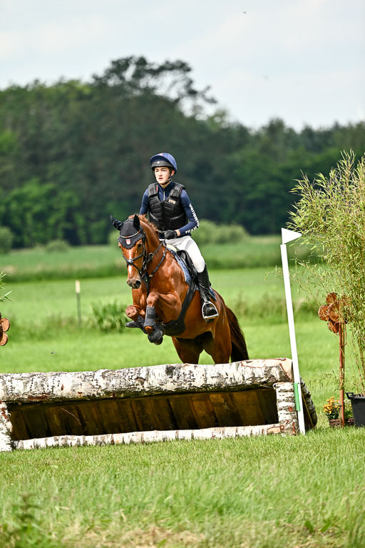 Goldene Schärpe Ponys in Löningen 2026 | 06062026 Gelände 1 Abt_1339 