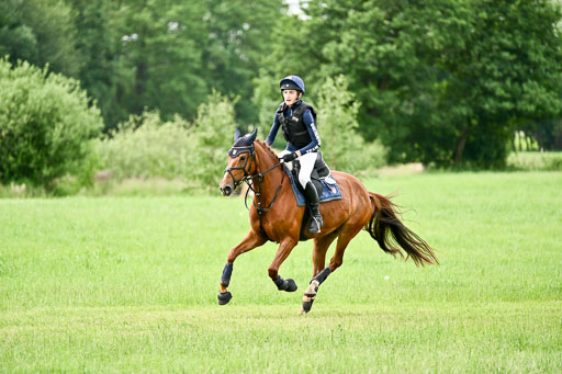 Goldene Schärpe Ponys in Löningen 2026 | 06062026 Gelände 1 Abt_1350 