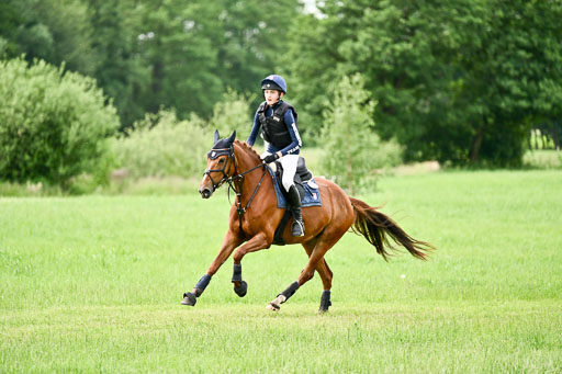 Goldene Schärpe Ponys in Löningen 2026 | 06062026 Gelände 1 Abt_1351 